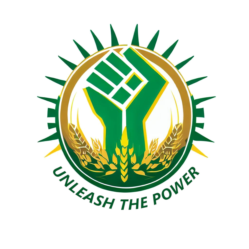 THE POWER